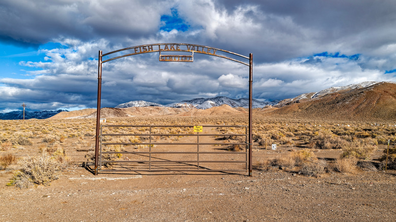 The rugged landscape of Fish Lake Valley