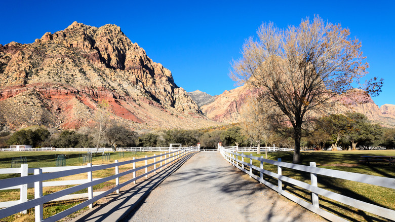 Colorful rocky mountains at Spring Mountain Ranch State Park in Nevada