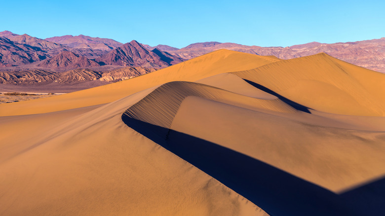 Mesquite Sand Flat Dunes in Death Valley National Park