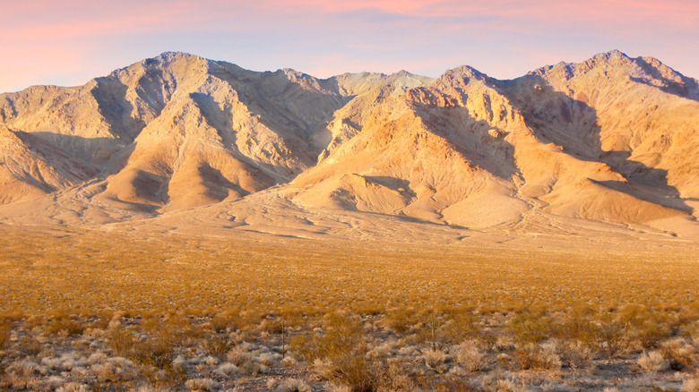 A view of Amargosa Valley