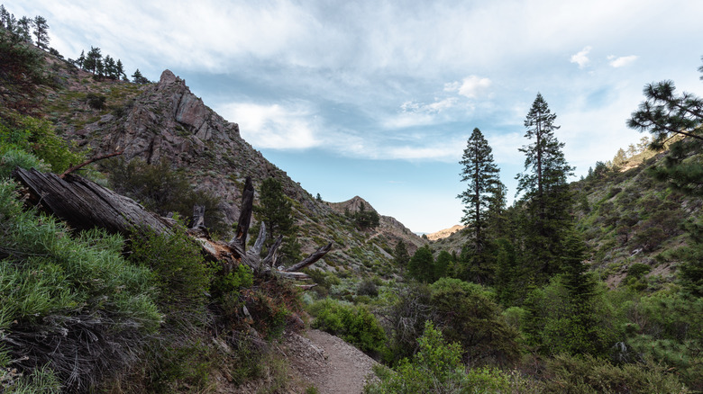 Hunter Creek Trail near Reno, Nevada