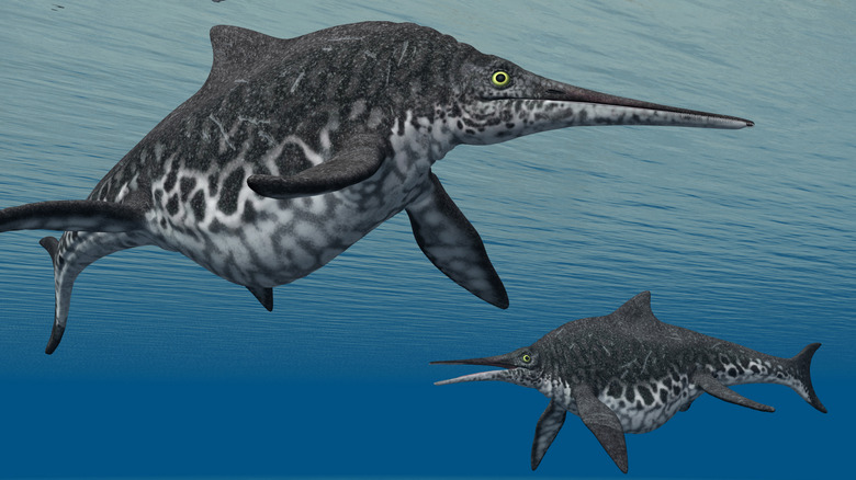 A 3D Rendering of Ichthyosaurs Swimming