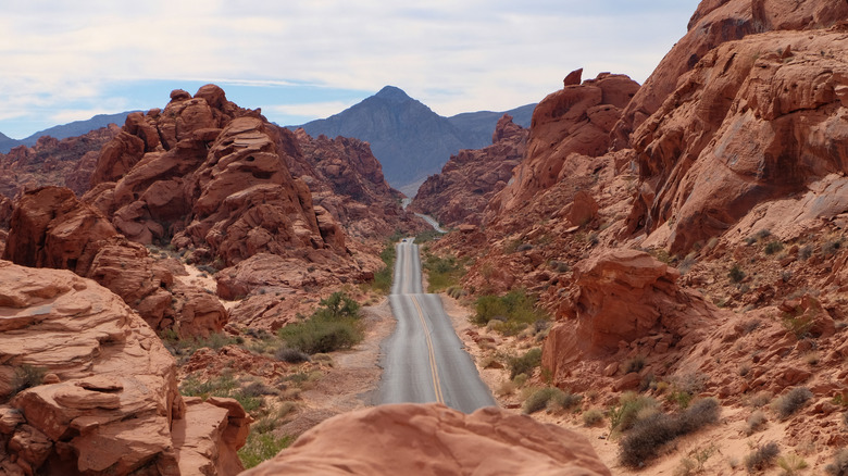 A road trip through the Moapa Valley is full of dramatic scenery