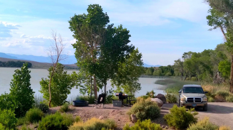 Lake at and tree at sunset at