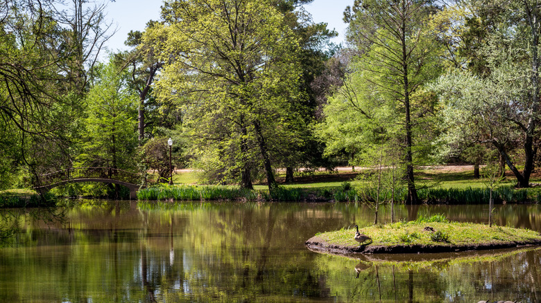 pond and trees at Bartlett Arboretum and Gardens