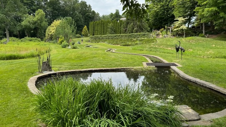 garden and pond in Bedrock Gardens