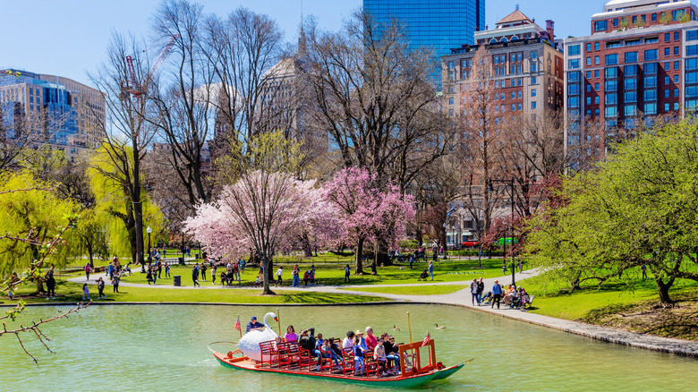 swan boat at Boston Public Garden