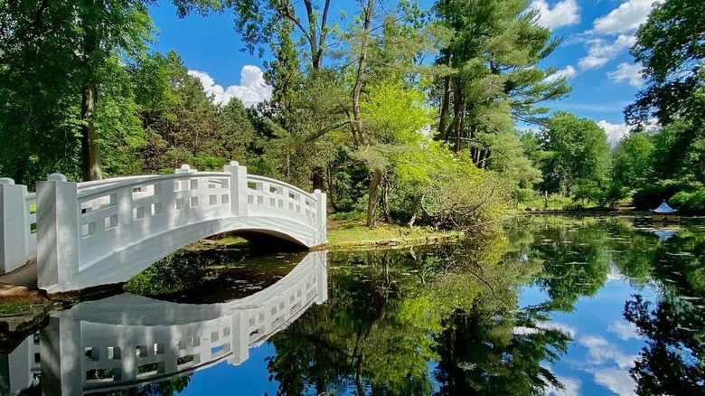 bridge with reflection in Wickham Park
