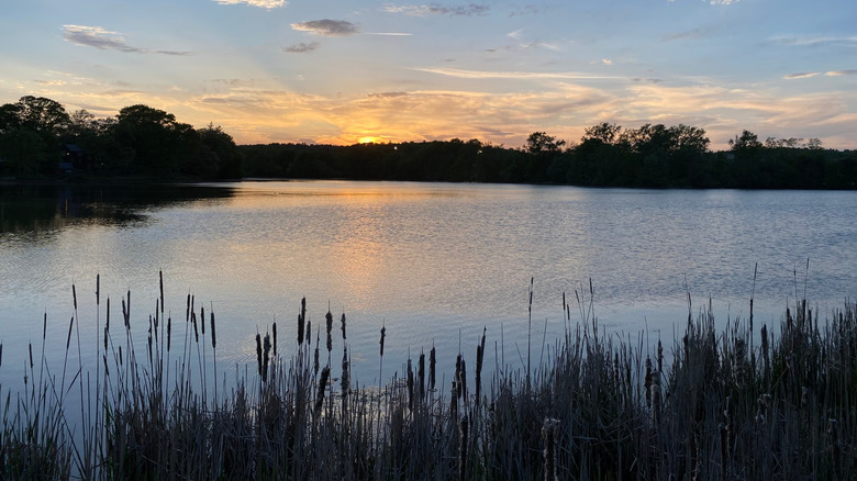 Sun setting over a park and pond in Melrose
