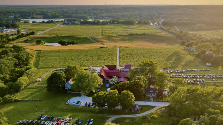 Westport Rivers Vineyard & Winery at sunset, featuring rolling hills and a red barn