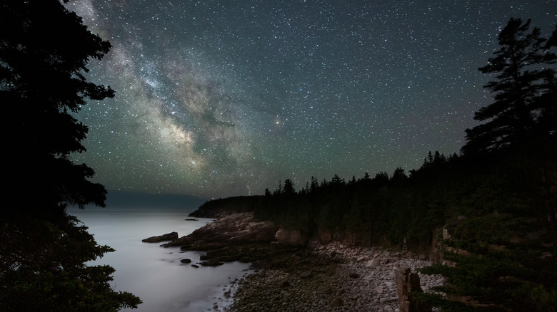 Night sky over Acadia PArk