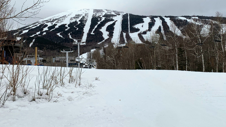 The iconic Sugarloaf mountain