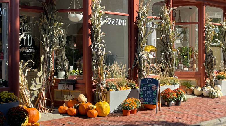 Autumnal storefront with pumpkins in Newport, Rhode Island