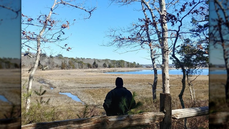 A person bundled in warm clothing looks out across a salt marsh at Great Neck Wildlife Sanctuary, near Cape Cod.