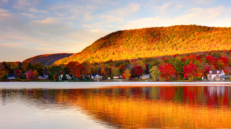 Leaves changing color next to the water in the Berkshires