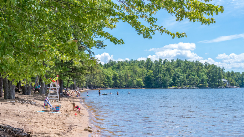 A beach surrounded by trees at Sebago Lake State Park, Maine