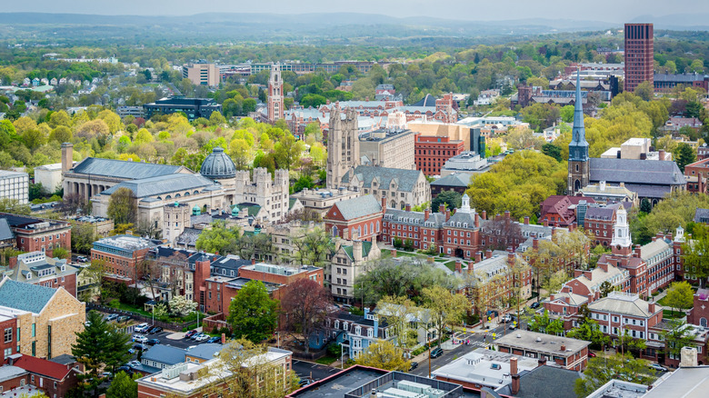 New Haven, Connecticut, showing the mix of historical architecture and green trees within downtown and beyond.