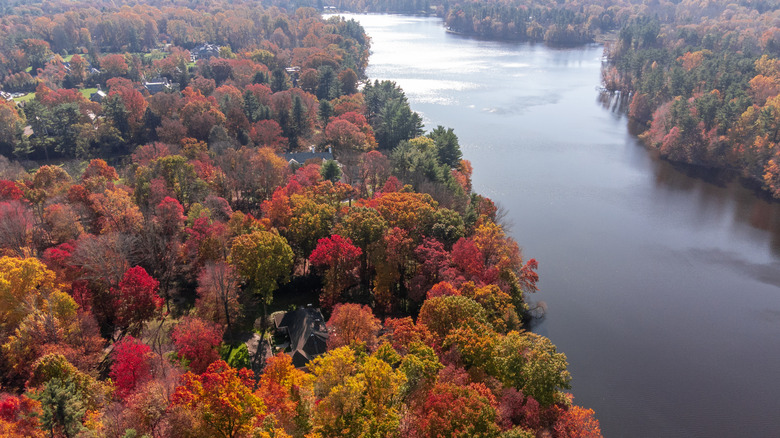 Autumn foliage in Connecticut