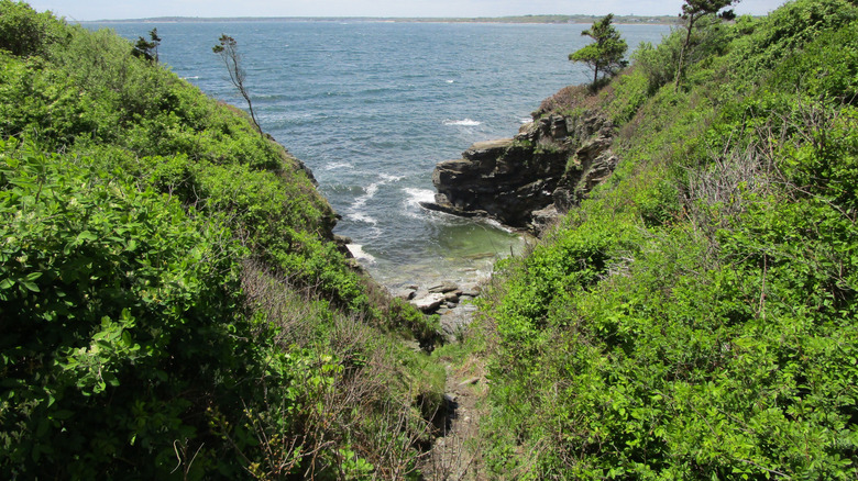 A path leading to a craggy inlet at Beavertail State Park in Rhode Island