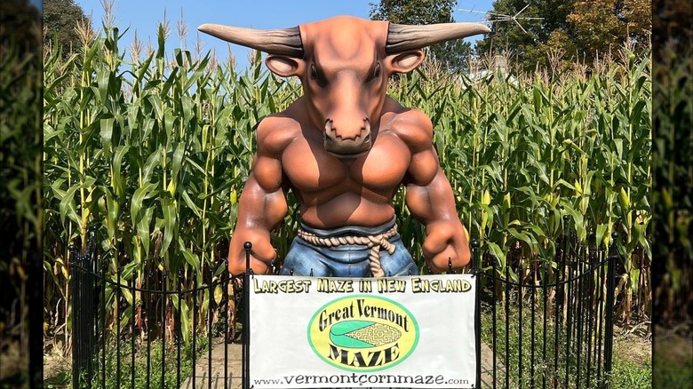 Minotaur statue with Great Vermont Maze sign in corn field
