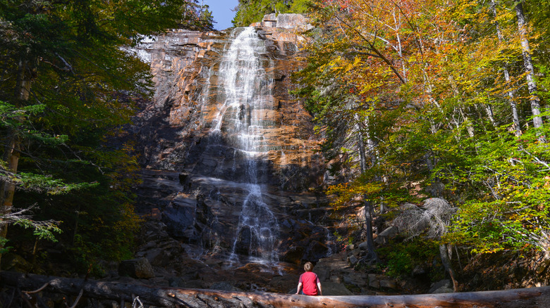 A boy looking at Arethusa Falls