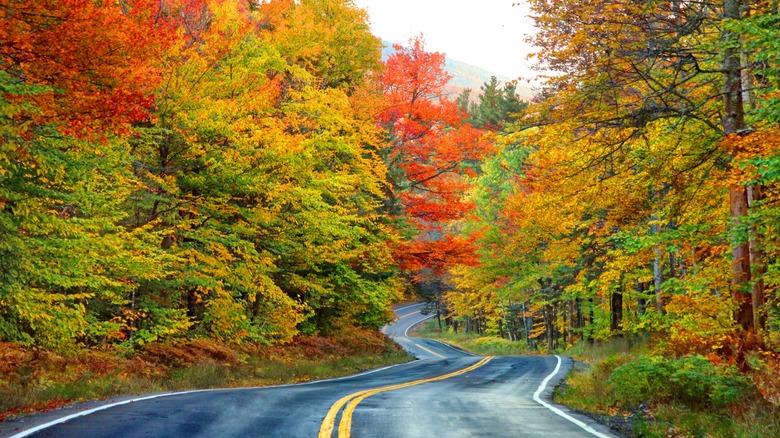 The White Mountains in New Hampshire with a winding road