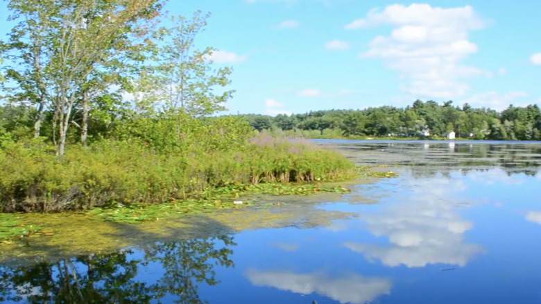 Trees and clouds reflected in the water in Hudson, New Hampshire.