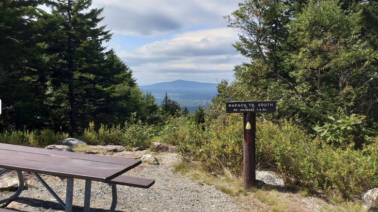 Picnic table at a scenic overlook at Miller State Park.