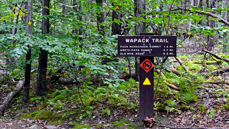 Wapack Trail marker at Miller State Park