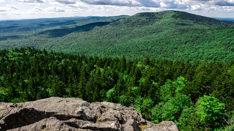 New Hampshire's Oldest State Park Is A Lovely Mountain Escape With Trails, Picnicking, And Stunning Views