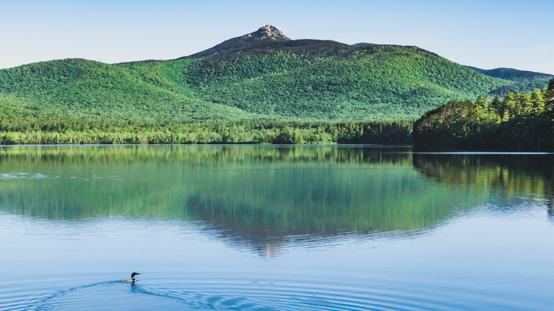 A view of the Chocorua Mountain from Chocorua Lake
