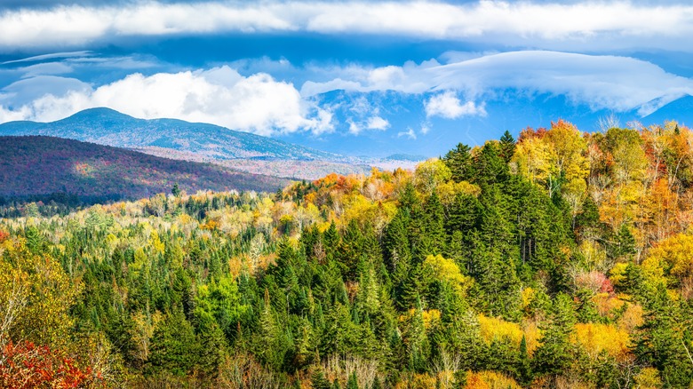 Colorful fall foliage with Mount Washington in the background viewed from Main Street in Bethlehem, New Hampshire