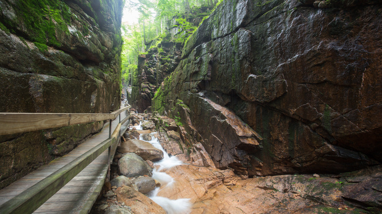 A wooden walkway alongside a fast-flowing river with tall rocky walls on either side
