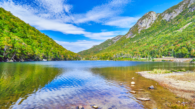 A ground-level view of a mountainous forest and a lake