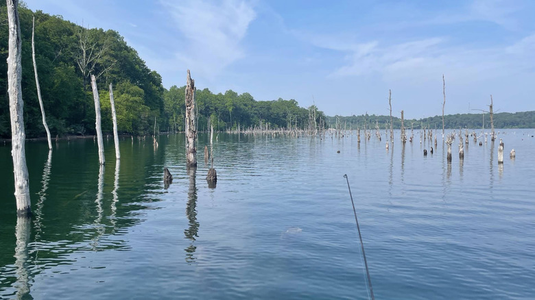fishing pole, Merrill Creek Reservoir, New Jersey