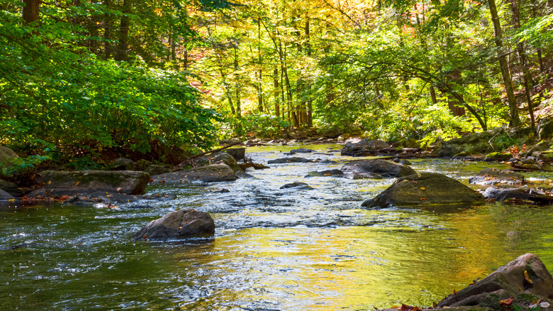 Fishing spots along the Black River in Hacklebarney State Park in Morris County, New Jersey