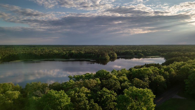 An arial shot of Parvin State Park's lake surrounded by thick forests.