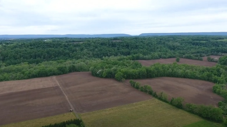 Aerial view of Four Sisters Winery