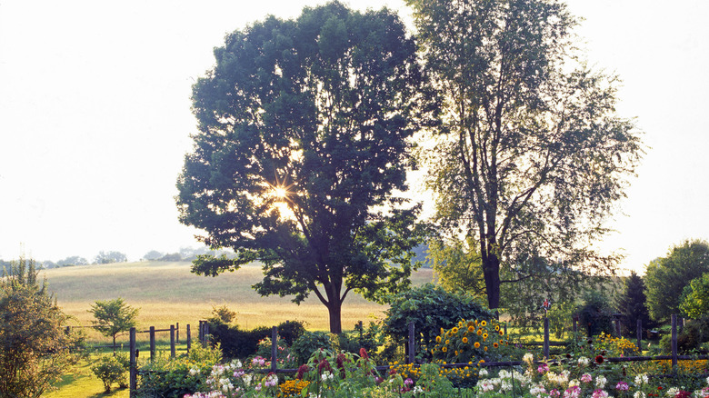 Gardens in Bernardsville, New Jersey