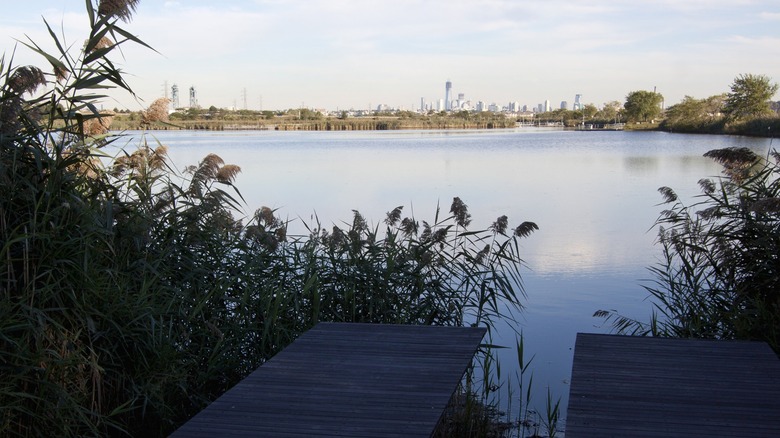 View from the reeds across the water to NYC skyline
