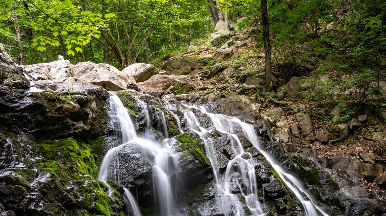 View of long exposure image of a water fall at the scenic Ramapo Valley Reservation near Mahwah, NJ