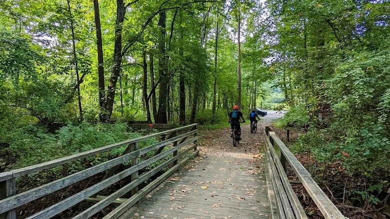 A scenic trail through the woodlands at Lewis Morris County Park in New Jersey, featuring two bikers crossing a wooden bridge.