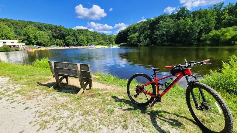 A red bike next to a bench at a lakeside at Lewis Morris County Park in New Jersey, surrounded by lush woodlands.