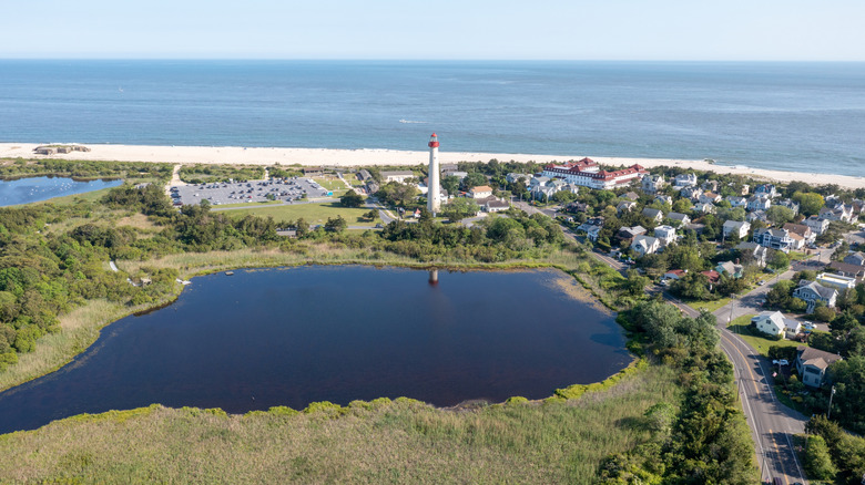 Aerial view of Cape May Point State Park