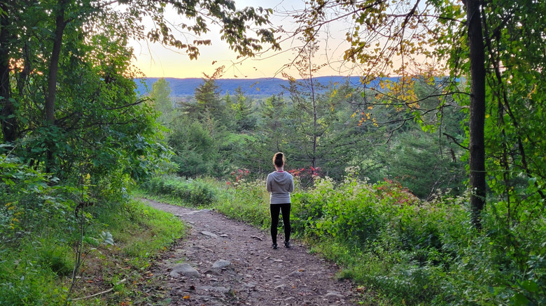 A hiker on a wooded trail in Wawayanda State Park in the Highlands region of New Jersey at sunset