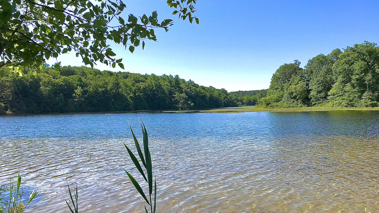 The clear water of Wawayanda Lake in Wawayanda State Park in the Highlands region of New Jersey