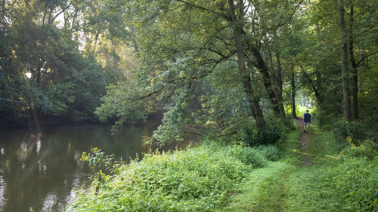 View of the Delaware and Raritan Canal State Park in Stockton, New Jersey