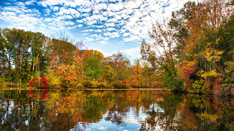 Kirby's Mill Pond in Medford, New Jersey