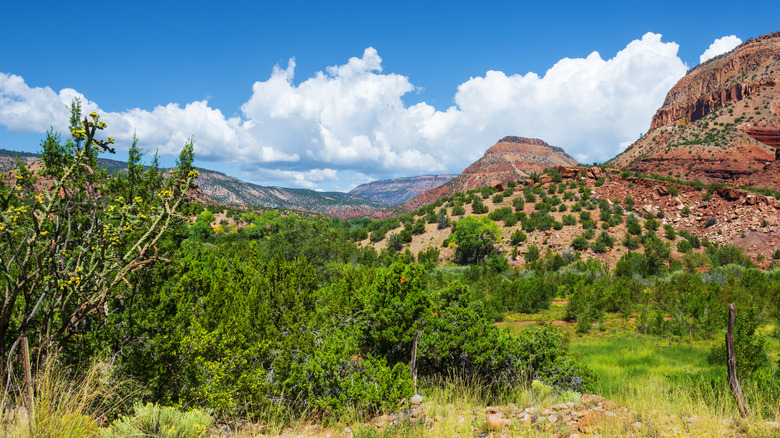 Red rocks visible from Jemez Springs trail