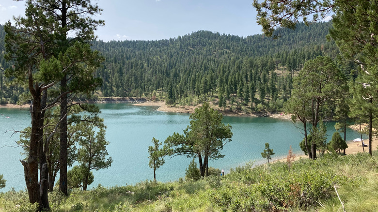 Grindstone Lake and forest in Ruidoso